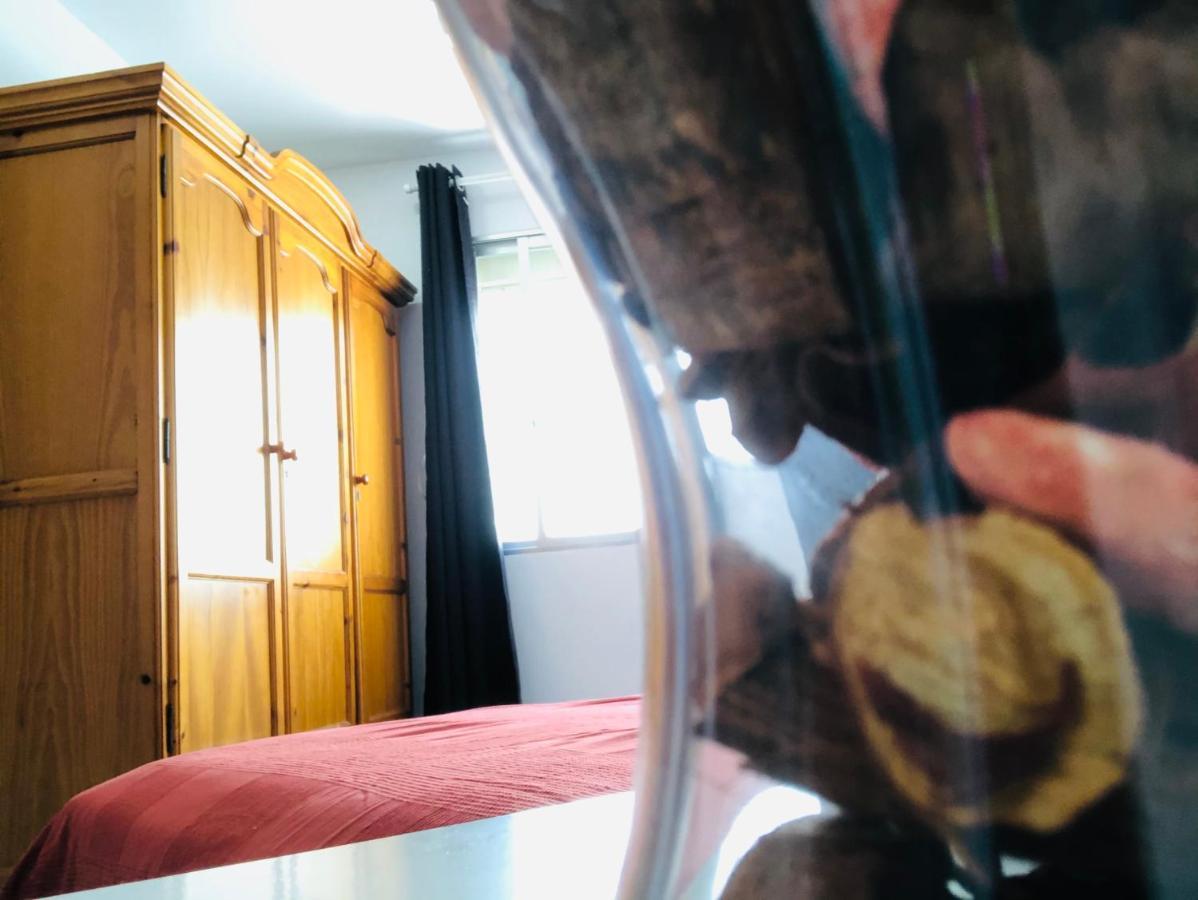 Apartemen Estrella Centro *